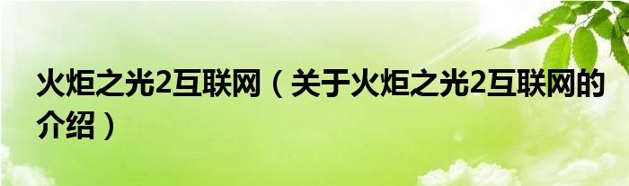 火炬之光2互联网（关于火炬之光2互联网的介绍）