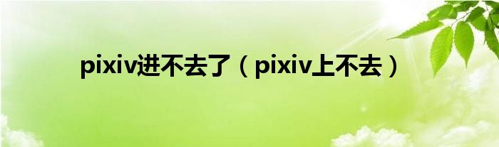 pixiv进不去了（pixiv上不去）