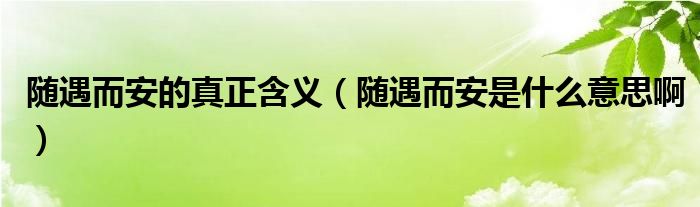 随遇而安的真正含义（随遇而安是什么意思啊）