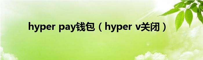 hyper pay钱包（hyper v关闭）