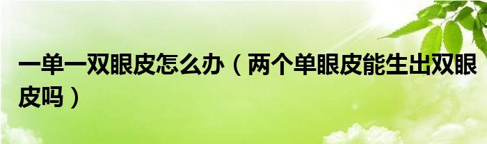 一单一双眼皮怎么办（两个单眼皮能生出双眼皮吗）