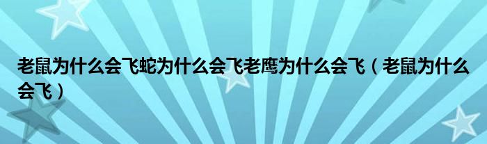 老鼠为什么会飞蛇为什么会飞老鹰为什么会飞（老鼠为什么会飞）