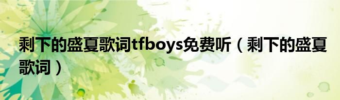 剩下的盛夏歌词tfboys免费听（剩下的盛夏歌词）