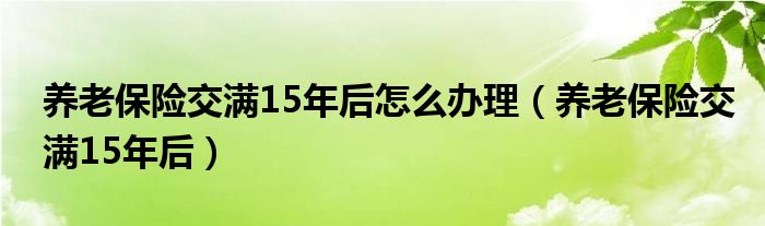 养老保险交满15年后怎么办理（养老保险交满15年后）