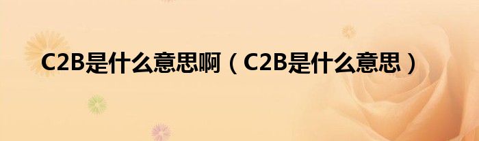 C2B是什么意思啊（C2B是什么意思）