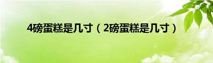 4磅蛋糕是几寸（2磅蛋糕是几寸）