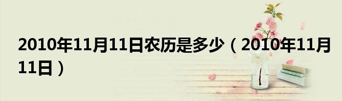 2010年11月11日农历是多少（2010年11月11日）