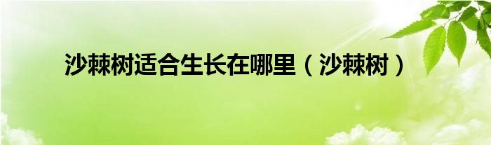 沙棘树适合生长在哪里（沙棘树）