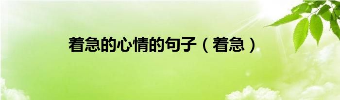 着急的心情的句子（着急）