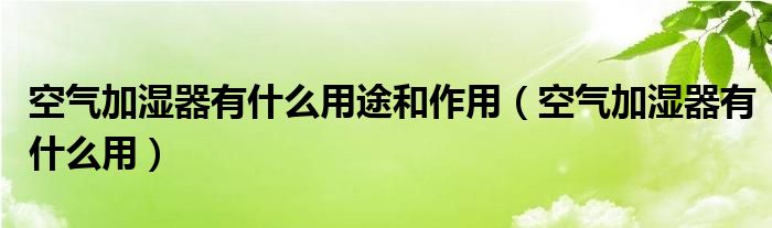 空气加湿器有什么用途和作用（空气加湿器有什么用）