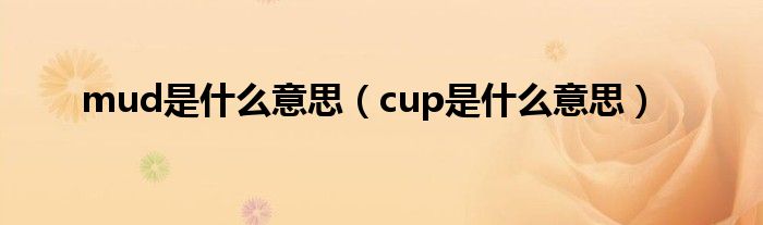 mud是什么意思（cup是什么意思）