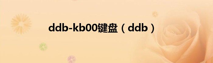 ddb-kb00键盘（ddb）