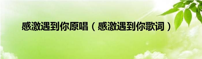 感激遇到你原唱（感激遇到你歌词）