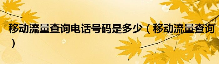 移动流量查询电话号码是多少（移动流量查询）