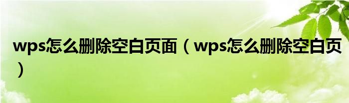 wps怎么删除空白页面（wps怎么删除空白页）