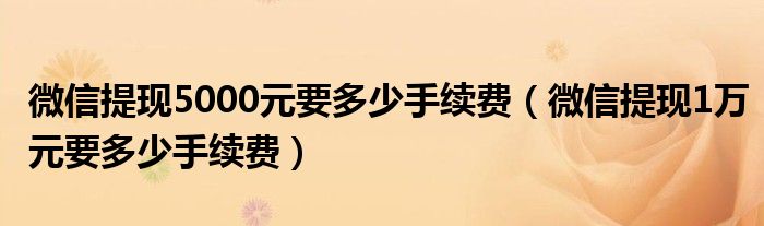 微信提现5000元要多少手续费（微信提现1万元要多少手续费）