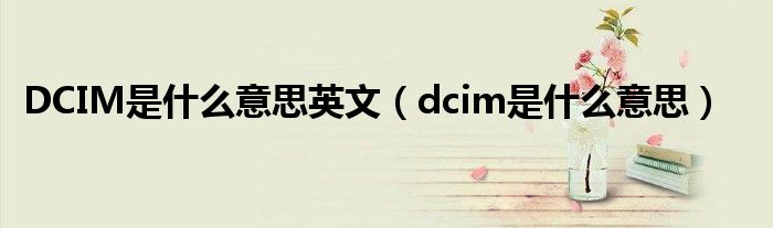 DCIM是什么意思英文（dcim是什么意思）