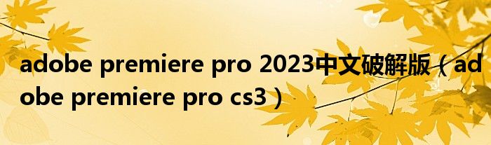 adobe premiere pro 2023中文破解版（adobe premiere pro cs3）