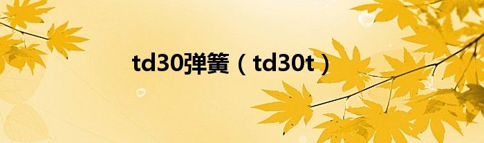 td30弹簧（td30t）