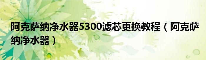 阿克萨纳净水器5300滤芯更换教程（阿克萨纳净水器）