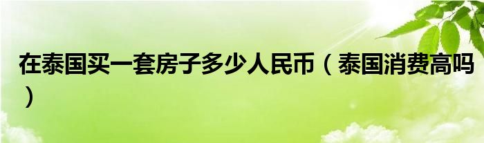 在泰国买一套房子多少人民币（泰国消费高吗）