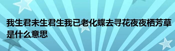 我生君未生君生我已老化蝶去寻花夜夜栖芳草是什么意思