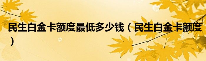 民生白金卡额度最低多少钱（民生白金卡额度）