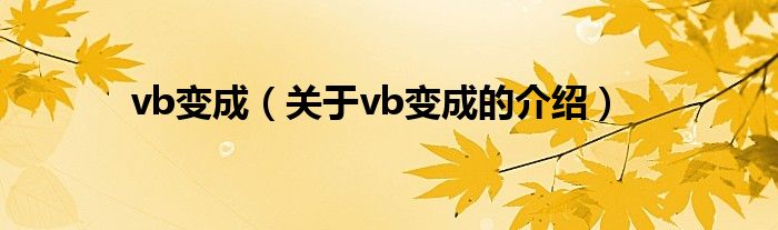 vb变成（关于vb变成的介绍）