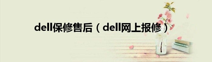 dell保修售后（dell网上报修）