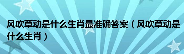 风吹草动是什么生肖最准确答案（风吹草动是什么生肖）