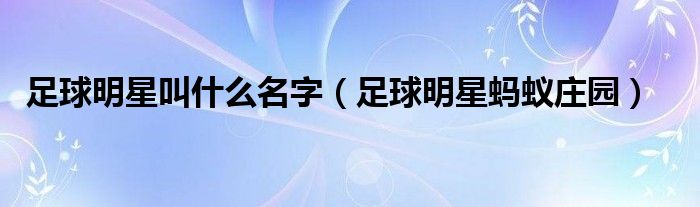 足球明星叫什么名字（足球明星蚂蚁庄园）