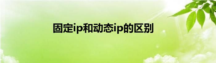 固定ip和动态ip的区别