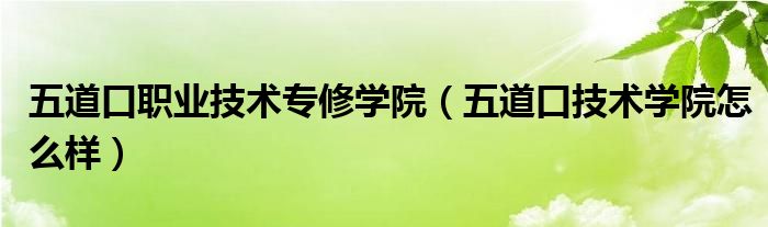 五道口职业技术专修学院（五道口技术学院怎么样）