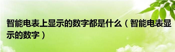 智能电表上显示的数字都是什么（智能电表显示的数字）