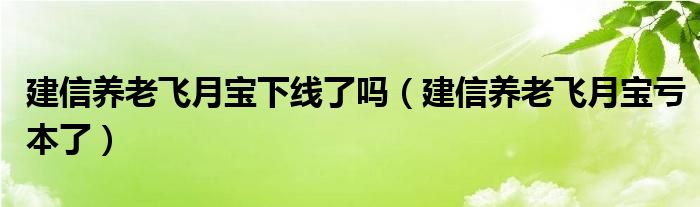 建信养老飞月宝下线了吗（建信养老飞月宝亏本了）