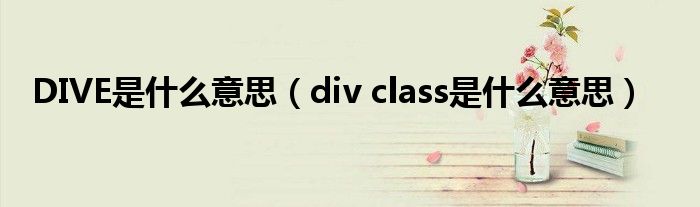 DIVE是什么意思（div class是什么意思）