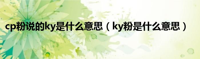 cp粉说的ky是什么意思（ky粉是什么意思）