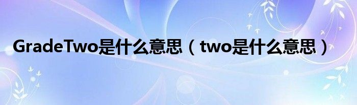 GradeTwo是什么意思（two是什么意思）