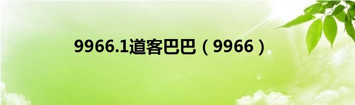 9966.1道客巴巴（9966）