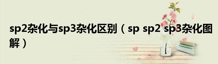 sp2杂化与sp3杂化区别（sp sp2 sp3杂化图解）