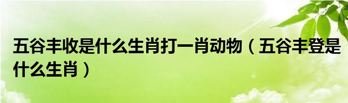 五谷丰收是什么生肖打一肖动物（五谷丰登是什么生肖）