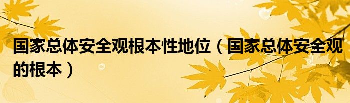 国家总体安全观根本性地位（国家总体安全观的根本）