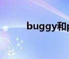 buggy和pram的区别（buggy）