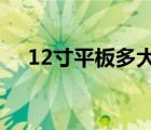 12寸平板多大?（12寸平板多大参照图）