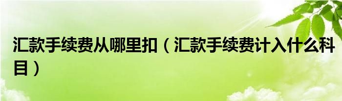 汇款手续费从哪里扣（汇款手续费计入什么科目）