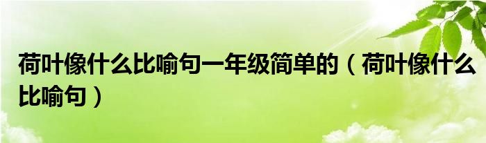 荷叶像什么比喻句一年级简单的（荷叶像什么比喻句）