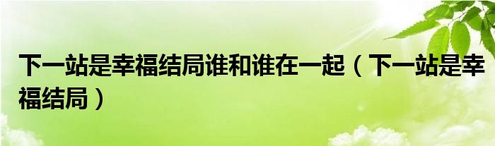 下一站是幸福结局谁和谁在一起（下一站是幸福结局）