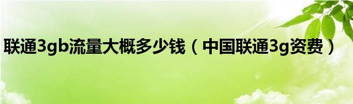 联通3gb流量大概多少钱（中国联通3g资费）