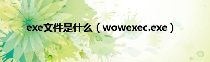 exe文件是什么（wowexec.exe）