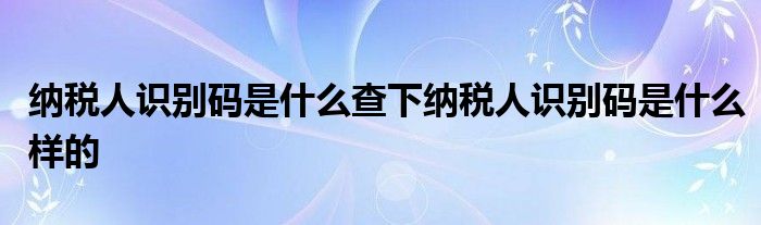 纳税人识别码是什么查下纳税人识别码是什么样的